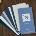 Speciaal papier notitieboek set, vintage stijl agenda planner, 95x175mm, 30 vel inbegrepen. - Vogels en Eiland / 30 Vellen (10 Patronen * 3)
