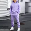 Men's casual autumn lavender hoodie and sweatpants two-piece tracksuit set for daily wear. - Light Purple