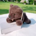 Simpatico orsetto di peluche morbido animale imbottito bambola per regalo di compleanno. - Orso bruno / 35cm
