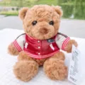 Simpatico orsetto di peluche marrone con giacca stile college rossa, regalo perfetto per bambini. - Divisa da baseball rossa