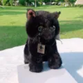Gatto nero peluche morbido e simpatico animale imbottito perfetto per regalo compleanno bambino - gatto nero / 35cm