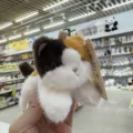 Simpatico gatto calico peluche tesoro di palma con design magnetico, morbido animale peluche regalo. - Gatto Calico
