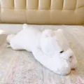 Simpatico orso polare di peluche cuscino sdraiato, morbido animale imbottito letto per regalo. - Orso Polare Sdraiato / Piccola Taglia Lunghezza Circa 65cm
