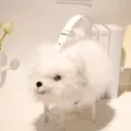 Borsa a mano in peluche soffice bianca, carina borsa a tracolla per donne e ragazze, borsa pelliccia. - Simulazione Volpe Bianca Borsa a Mano Tracolla / 30cm / Bianco