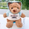 Simpatico orsacchiotto di peluche con felpa con cappuccio, morbido regalo per bambini. - Felpa con Cappuccio Colorblock Azzurro Bianca