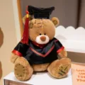 Plüsch Kuscheltier Doktor Bär mit Doktorhut und Robe, ideales Geschenk für Abschluss. - Dunkelbrauner Flickenbär - Doktoranden-Edition