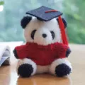 Graduation panda plush toy pendant wearing doctoral cap and red sweater for gift. - Doctor Hat Panda Pendant / Red Sweater