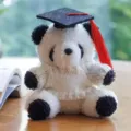 Primo piano di un simpatico panda di peluche con berretto di laurea e maglione lavorato a maglia. - Ciondolo Panda Cappello da Dottore / Maglione Bianco