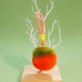 Cute plush pom pom keychain bag charm fluffy persimmon pendant car key ring orange green - Orange