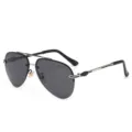 Lunettes de soleil polarisées en métal à double pont classiques pour hommes et femmes. - Monture Argentée Verre Gris