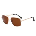 Lunettes de soleil polarisées pour hommes avec monture en métal et double pont. - Monture Dorée Verre Thé