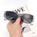 Nouvelles lunettes de soleil polarisées pour femmes, monture grise transparente et verres. - Monture Grise Translucide Verres Gris Dégradé