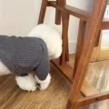 Graues Waffel-Haustiershirt für Hunde und Katzen, bequemer Pullover für Frühling und Herbst. - XL / Grau