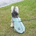 Gilet polaire chaud pour chien et chat, vêtement hiver pour animal avec anneau de traction mignon - Vert (Avec Laisse de 1.2m)