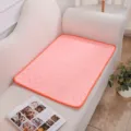 Rosa waschbare Haustier-Pipiunterlage wiederverwendbare Hundetrainingsmatte fur Sofa - S (50*35cm) / Orange