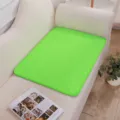 Washable Pet Pee Pad Reusable Waterproof Dog Urine Mat in Bright Green Color Option - Green