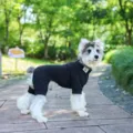 Schwarzer vierbeiniger Haustier Strickpullover für Hunde und Katzen, warme Winterbekleidung. - XS / Schwarz