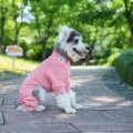Rosa gewebter vierbeiniger Haustier-Pullover für Hunde und Katzen, elastische Winterkleidung. - XS / Rosa