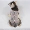 Gilet en peluche gris pour petits chiens, vêtement d'hiver chaud pour animaux avec boutons. - XS / Gris