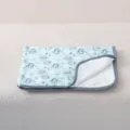 Thickened pet blanket in light blue with cute cartoon dinosaur print and cozy gray edge binding. - Dinosaur Paw Print