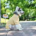Haustier Vierbeiniger Strickpullover, gelbe warme Hundekleidung für kleine Haustiere im Winter - XS / Gelb