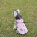 Gilet polaire rose pour chien avec bordure à carreaux noirs et anneau pour les froids d'hiver. - Rose (Avec Laisse de 1.2m)