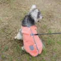 Gilet polaire d'hiver pour animal de compagnie, vêtement chaud rose à carreaux avec anneau - Orange (Avec Laisse de 1.2m)