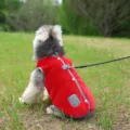 Gilet d'hiver chaud en molleton pour chien gilet rouge à carreaux vêtements pour animaux - Rouge (Avec Laisse de 1.2m)