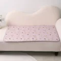 Tapis pipi pour animal imperméable et lavable avec joli motif arc-en-ciel pour chien chat. - Imprimé Nuage Arc-en-Ciel