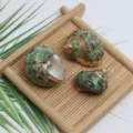 Gros plan de pendentifs coquillages naturels galvanisés avec une texture unique et chic. - Coquille Tachetée Verte