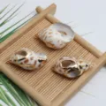 Natürliche Muschel vergoldete Schneckenanhänger DIY Schmuck Zubehör Detail Ansicht - Gefleckte Muschel Ausgehöhlt