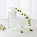 Vaso in vetro trasparente europeo con design a coste per decorazione di piante idroponiche - Set da Due Pezzi