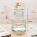 Vase en verre transparent avec surface texturée, idéal pour les plantes hydroponiques et fleurs. - Transparent