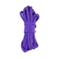 Corde paracorde violette 4mm bracelet tressé survie en plein air accessoire DIY. - Violet