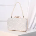 Elegant pearl strap evening clutch bag with sparkling lace finish and bow clasp for women parties. - Silver