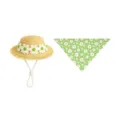 Cute pet straw hat and floral bandana set, perfect for porch goose or small animals summer. - Straw Hat + Green Daisy Triangle Scarf