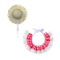 Haustier Veranda Gans Kostüm Set, Mini-Strohhut und roter karierter Spitzen Lätzchen. - Strohhut + Rotes Spitzenlätzchen