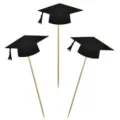 Graduation cap cake toppers, black glitter grad party decoration picks, 3pcs set dessert. - Style 02 (Doctorate Hat) / 10 Pieces/Pack