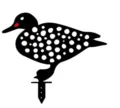 Acrylic duck yard art detail showing polka dot cutout pattern and garden stake design. - Black and Red (02)