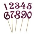 Glitter cijfer taarttoppers 0-9 voor verjaardagsfeest taartdecoratie en dessertprikkers. - Rozerood 0-9 Set