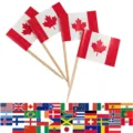 Canadese vlag tandenstokers toppers voor feestdecoraties, houten stokje fruitprikkers. - Canada Vlag Tandenstoker / 100 Stuks/Verpakking