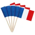 French flag toothpicks, 65mm wooden cocktail picks, decorative paper flags for party food. - France Flag Toothpick Flag / 100 Pieces/Pack