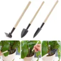 Mini 3-piece gardening tool set with wooden handle shovel, rake and trowel for plants. - Three-Piece Set