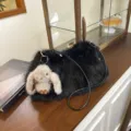 Black plush shoulder bag with cute rabbit charm, soft fluffy cloud bag for daily commuting. - Black
