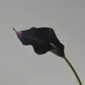 Grande fleur de calla artificielle EVA toucher doux deco maison mariage beau bouquet - Noir Violet