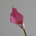 Grande Fleur Artificielle Calla Lys EVA Caoutchouc Souple Bouquet De Mariage - Rose