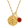 Collier pendentif monnaie zodiaque acier inoxydable plaque or 18k avec pierre rouge vue de detail - Pendentif Rond Verseau / Verseau