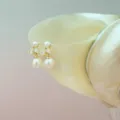 Elegantes pendientes colgantes de perlas y zircones chapados en oro 14k para mujer. - Estilo 2 / Dorado