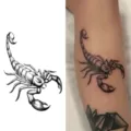 Adesivo per tatuaggio scorpione realista body art impermeabile tatuaggio temporaneo per braccio - HA006