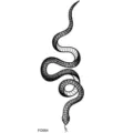Serpente tatuaggio temporaneo adesivo minimalista arte di linea nera impermeabile sku - FO064